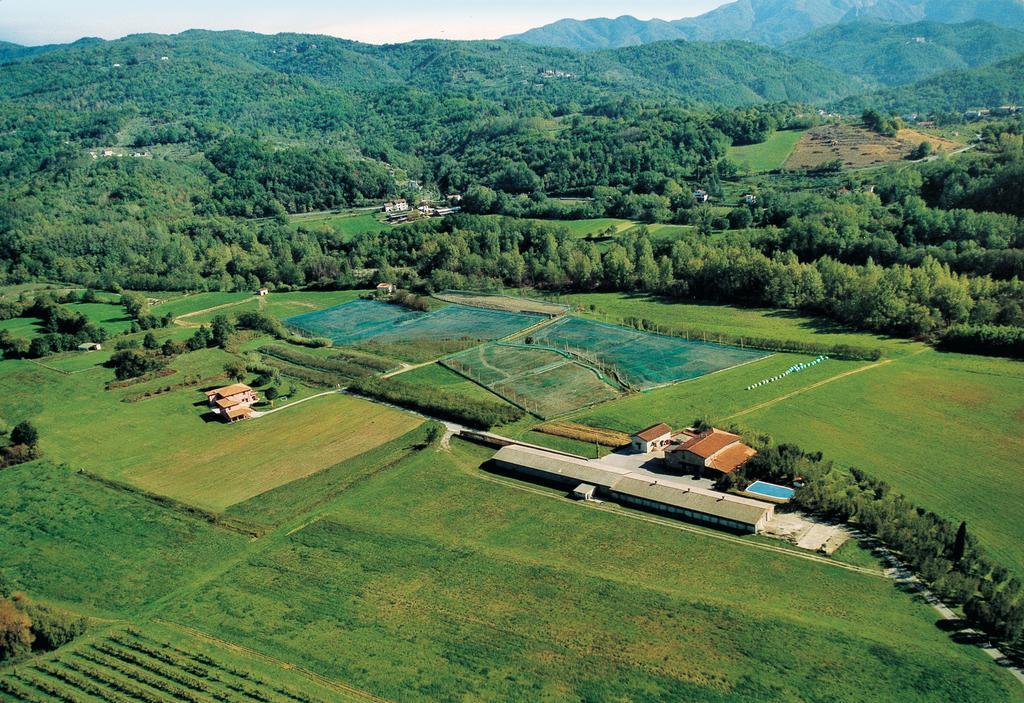 Agriturismo La Praduscella Fivizzano Exteriér fotografie
